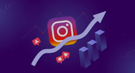 The Ultimate Guide to Buying Instagram Followers in New Zealand