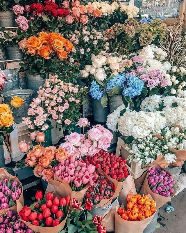 Flowers For Each Season
