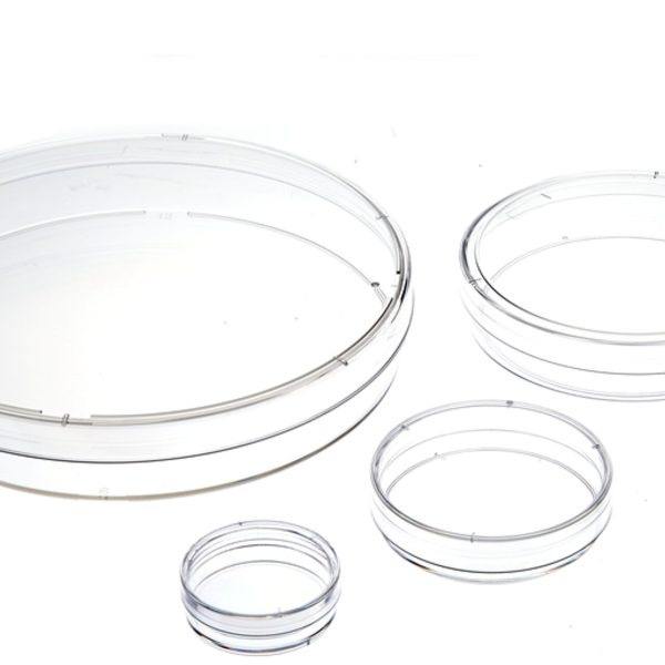 Tips and Best Practices for Maximizing Cell Growth in 35mm Cell Culture Dishes