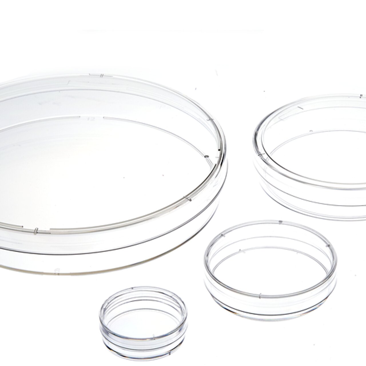 35mm cell culture dishes