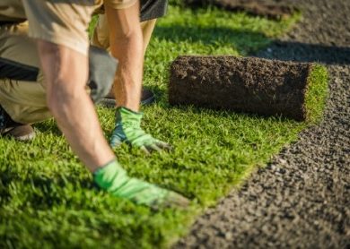 Landscaping Contractor Services A Comprehensive Guide to What to Expect