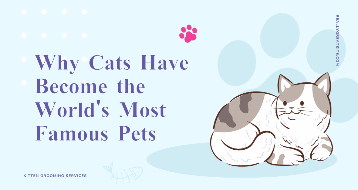 Why Cats Have Become the World's Most Famous Pets